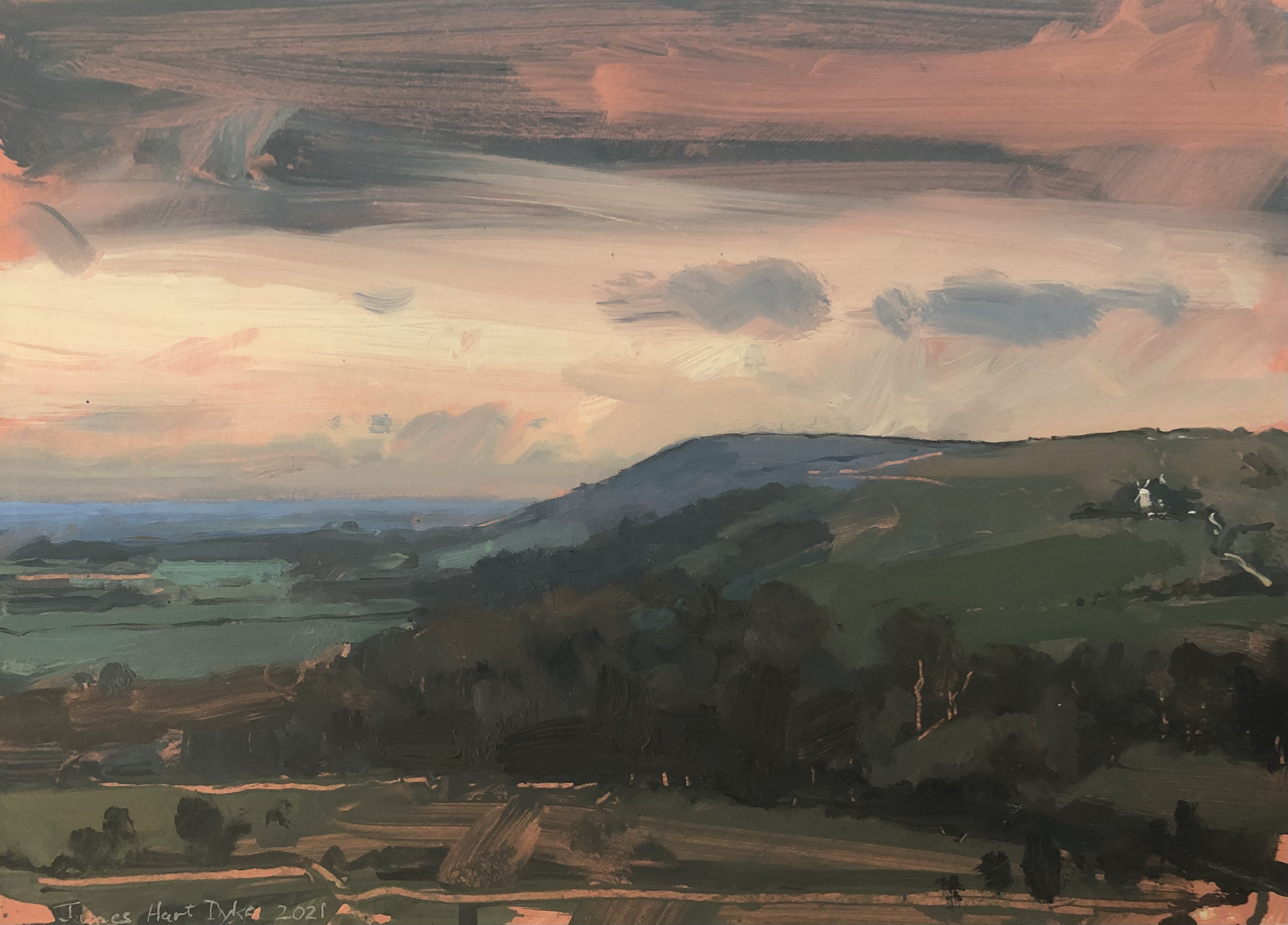 Grey on pink, South Downs 